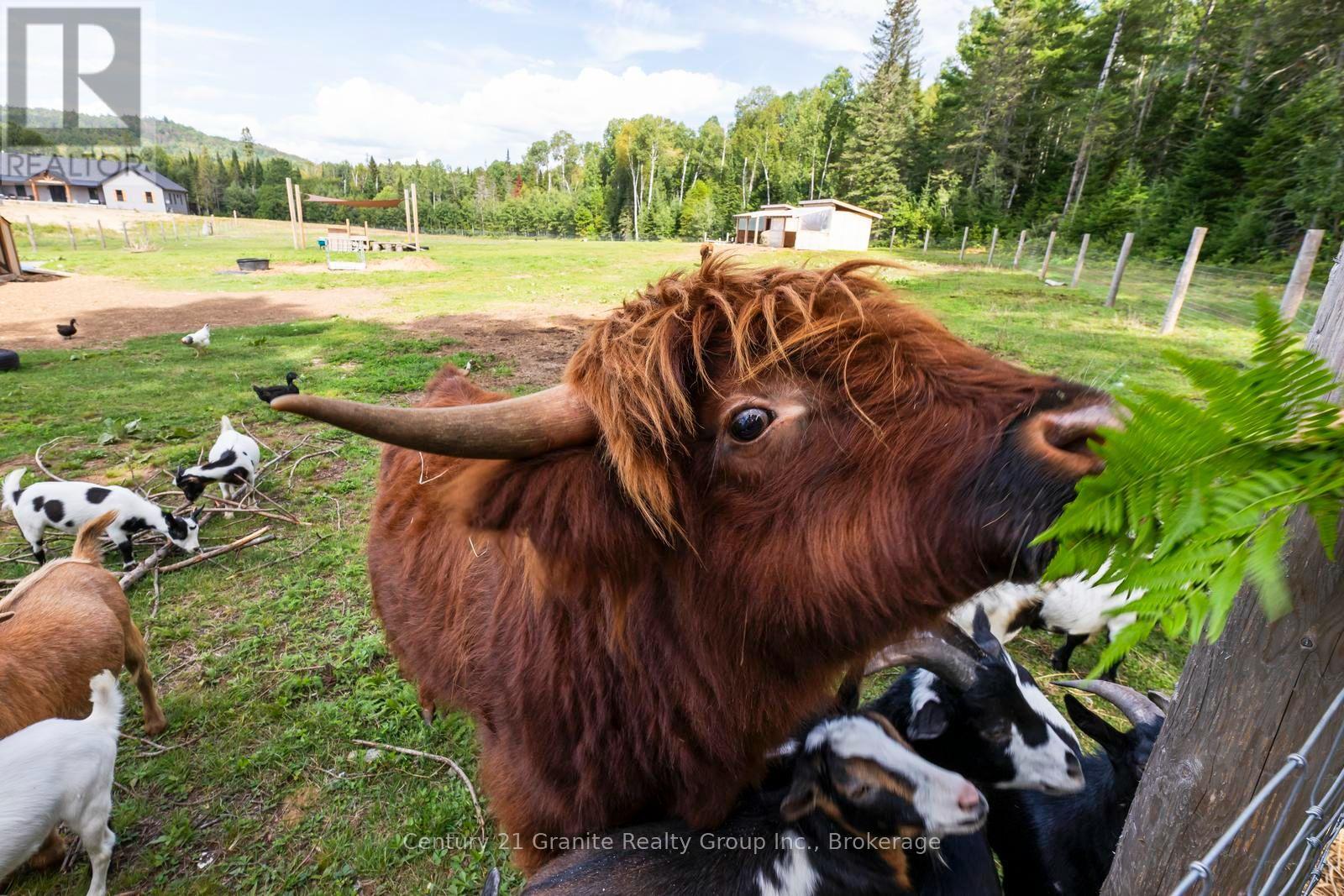605 Browns Road, Brudenell, Ontario  K0L 1G0 - Photo 45 - X13723736