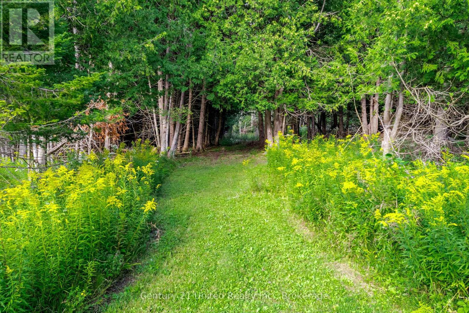 702 Letterkenny Road, Brudenell, Ontario  K0J 2E0 - Photo 34 - X13723906