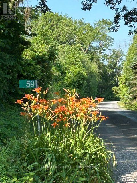 59 Bishop Lane, Prince Edward County, Ontario  K0K 1A0 - Photo 3 - X13723938