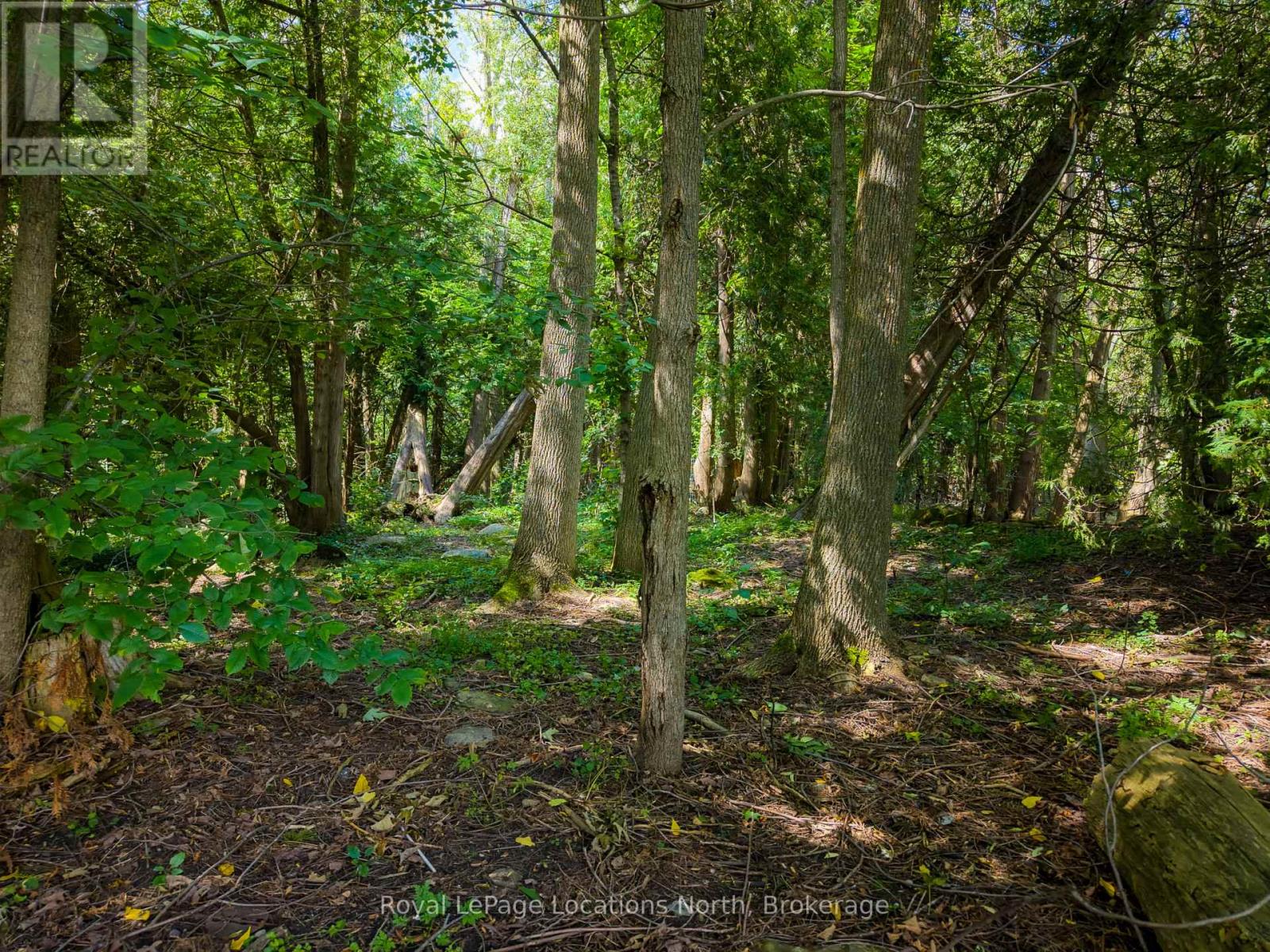 145839 Grey Road 12, Meaford, Ontario  N4L 1W5 - Photo 46 - X13723820