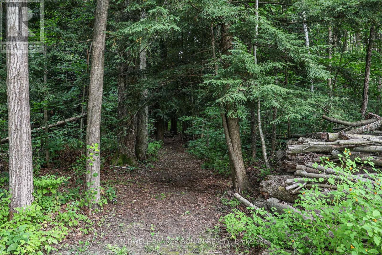 57 Pine Park Boulevard, Adjala-Tosorontio (Everett), Ontario  L0M 1J0 - Photo 43 - N13723756