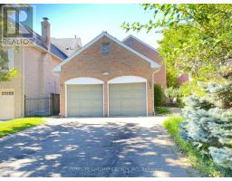 BASEMENT - 19 REDWOOD LANE, Markham, Ontario