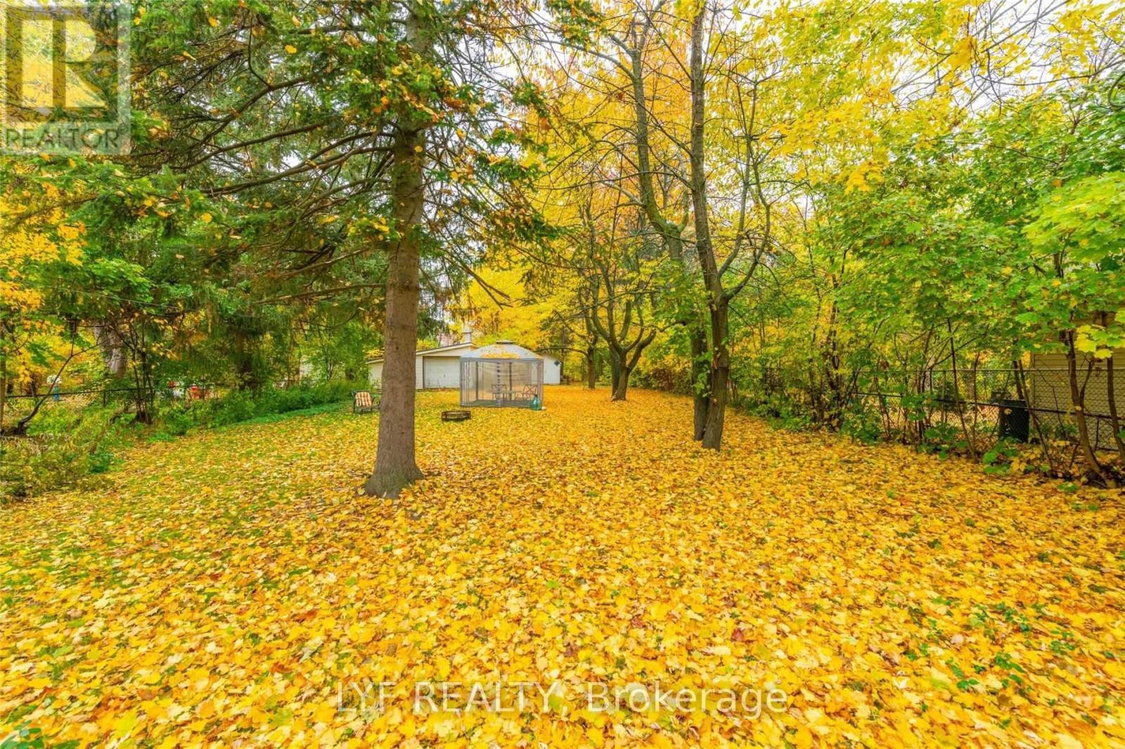 Rm 1 - 173 Maple Avenue, Richmond Hill, Ontario  L4C 2J1 - Photo 18 - N13723880