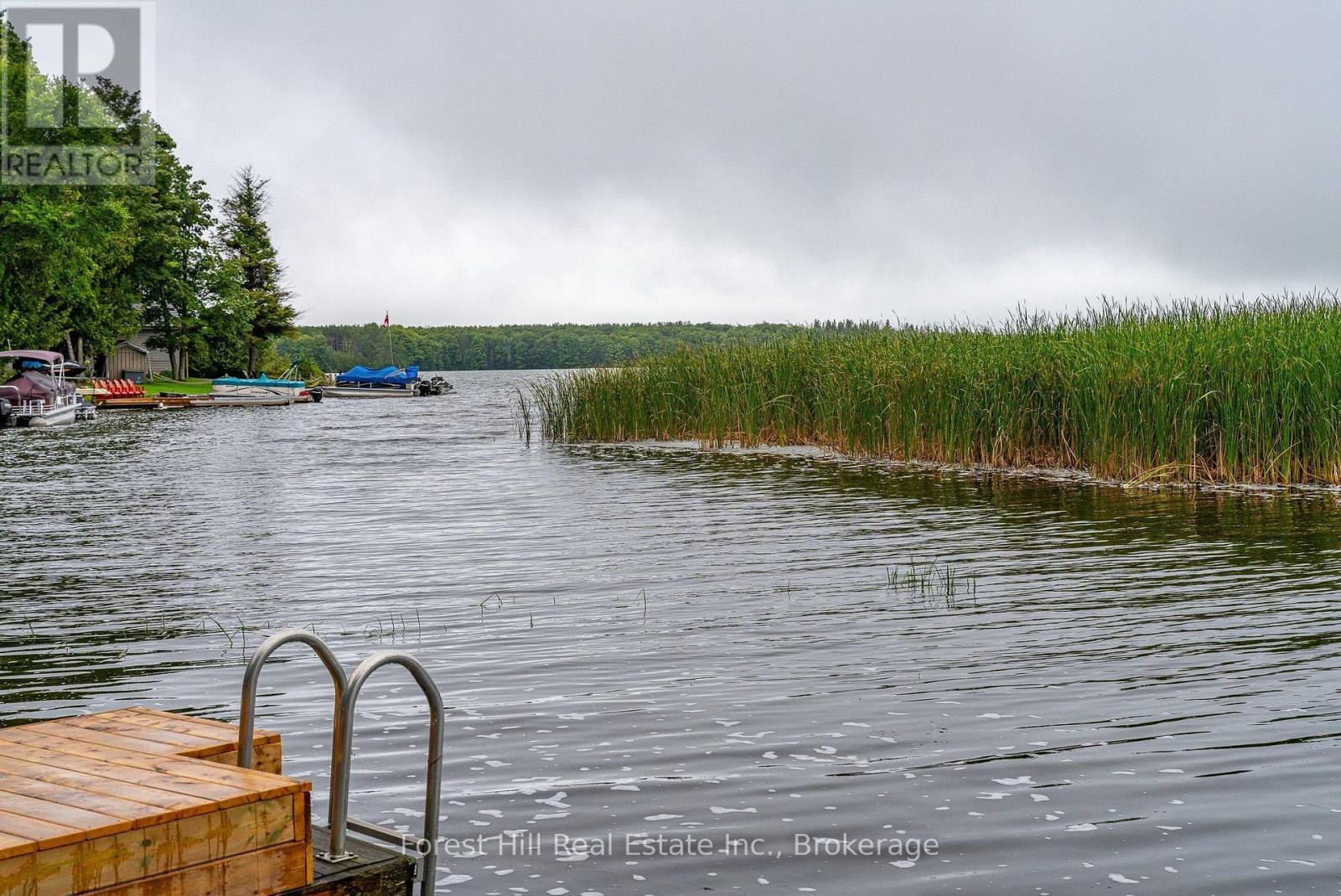 218 Wiles Lane, Grey Highlands, Ontario  N0C 1E0 - Photo 16 - X13723954