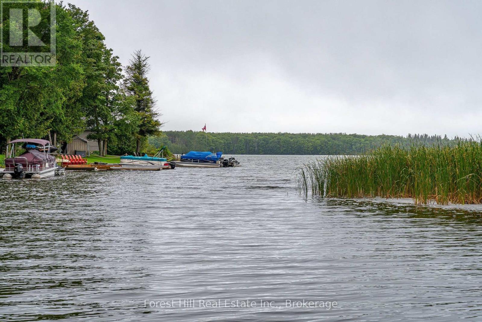 218 Wiles Lane, Grey Highlands, Ontario  N0C 1E0 - Photo 17 - X13723954