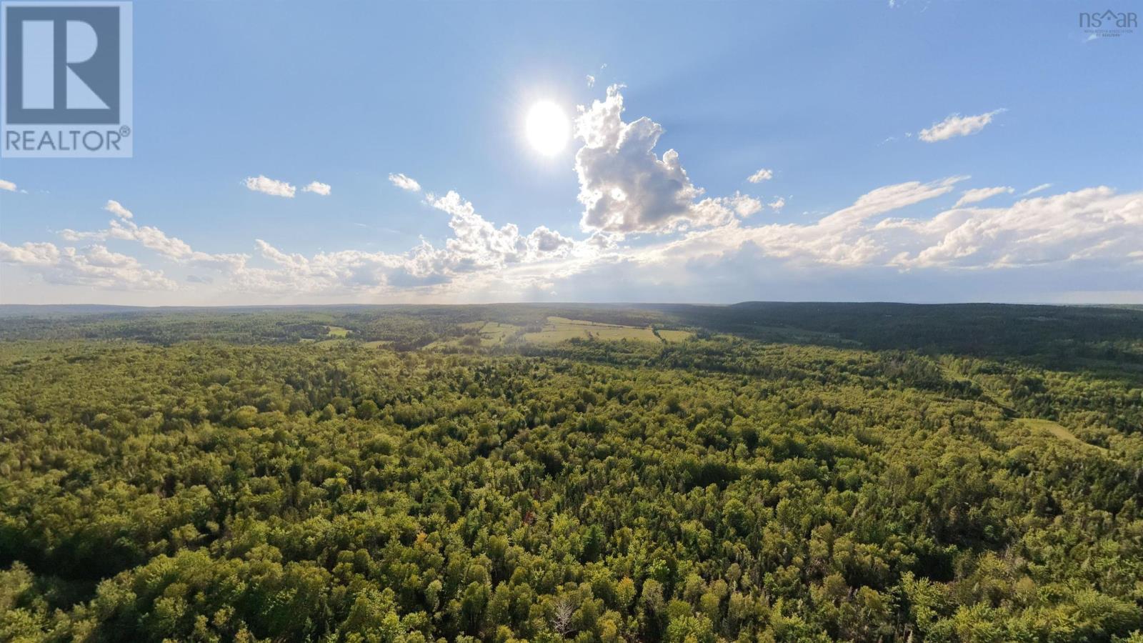 Lot Concord Road, Concord, Nova Scotia  B0K 2A0 - Photo 11 - 202621716