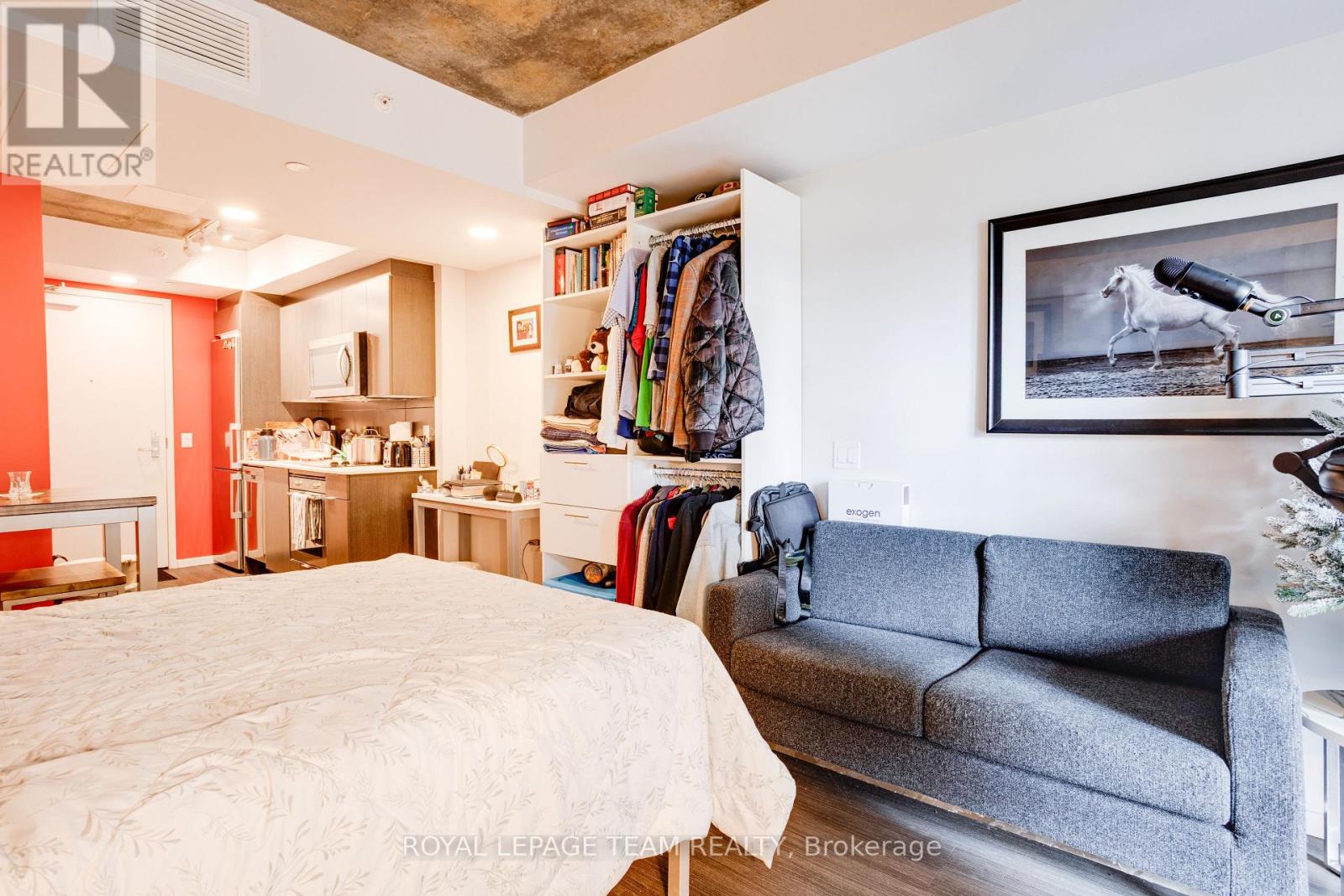 1011 - 105 Champagne Avenue, Ottawa, Ontario  K1S 4P3 - Photo 6 - X13724188