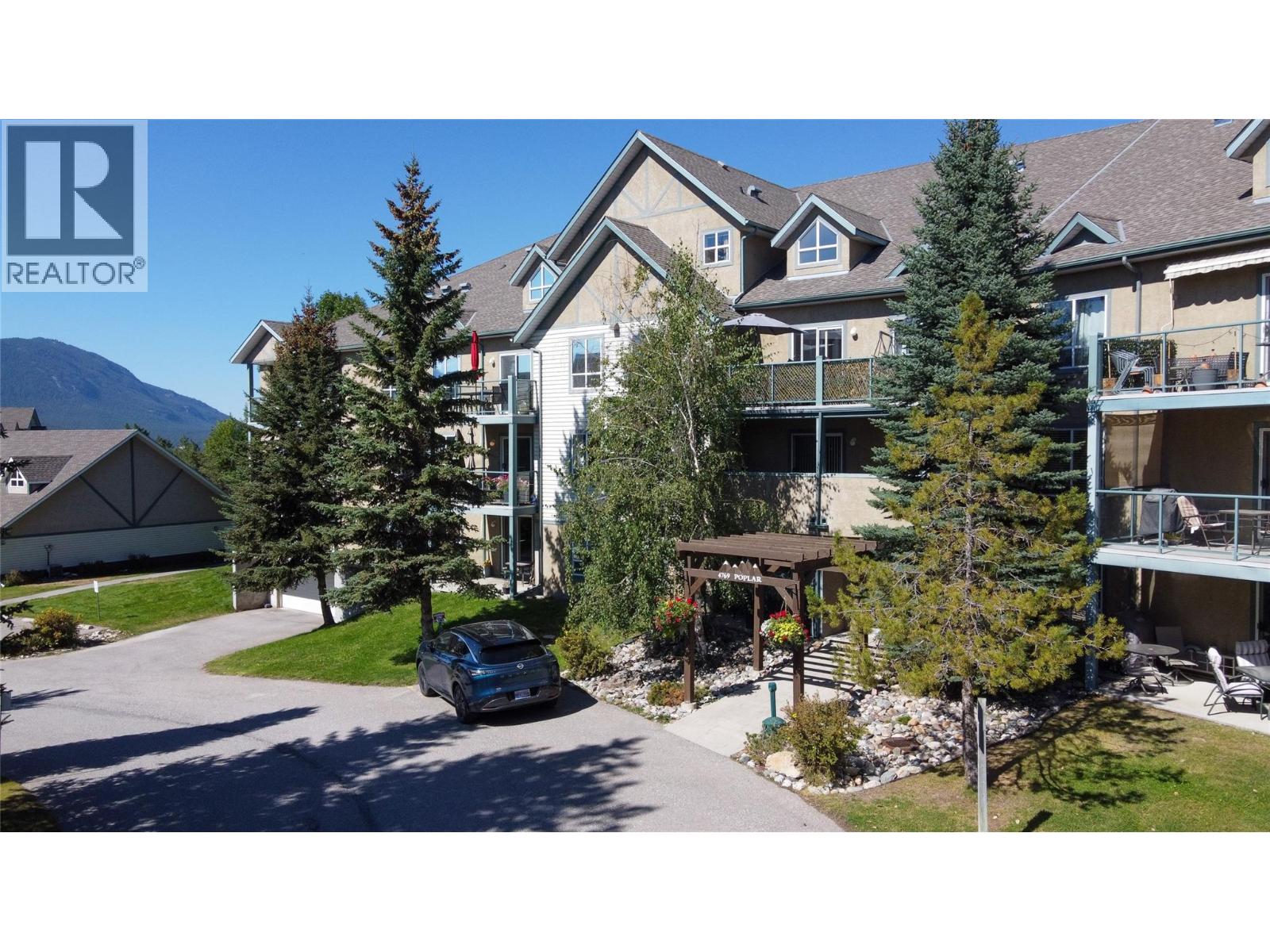 picture 40