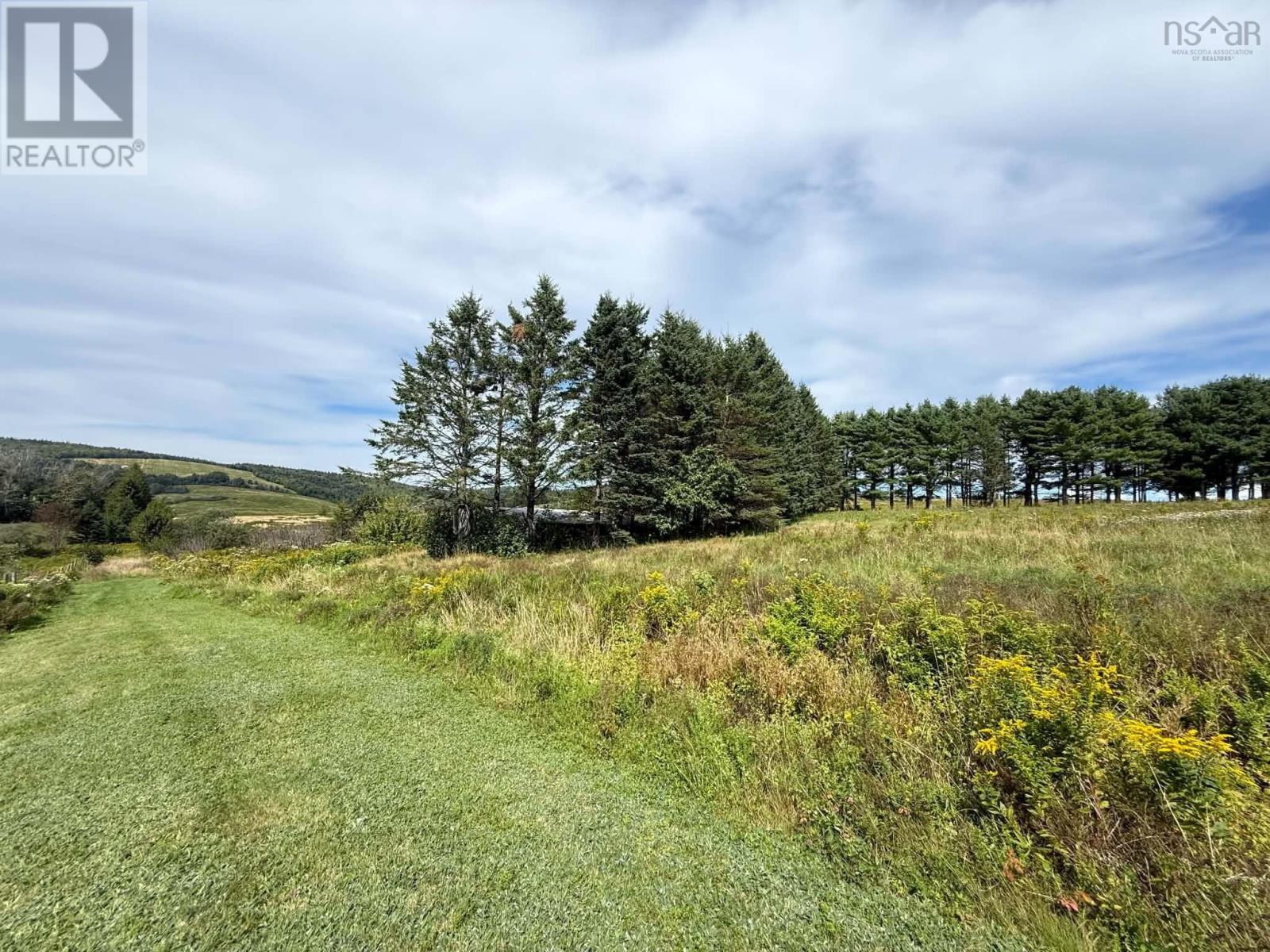 333 Yorke Settlement Road, Diligent River, Nova Scotia  B0M 1S0 - Photo 17 - 202621870