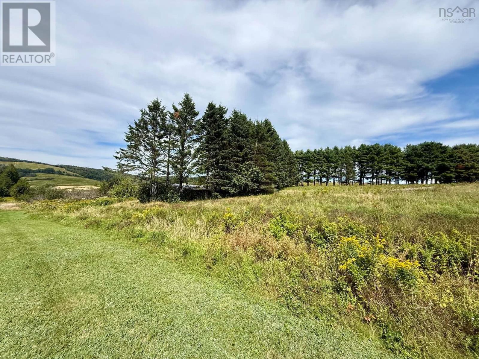 333 Yorke Settlement Road, Diligent River, Nova Scotia  B0M 1S0 - Photo 18 - 202621870