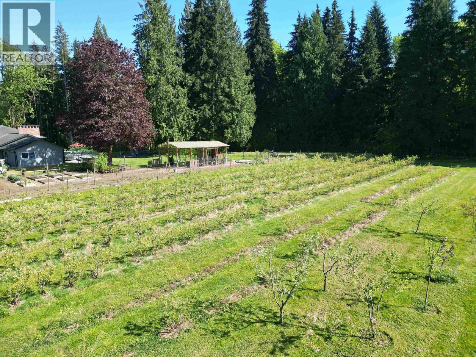 25908 124 Avenue, Maple Ridge, British Columbia  V4R 1B8 - Photo 5 - R3159094