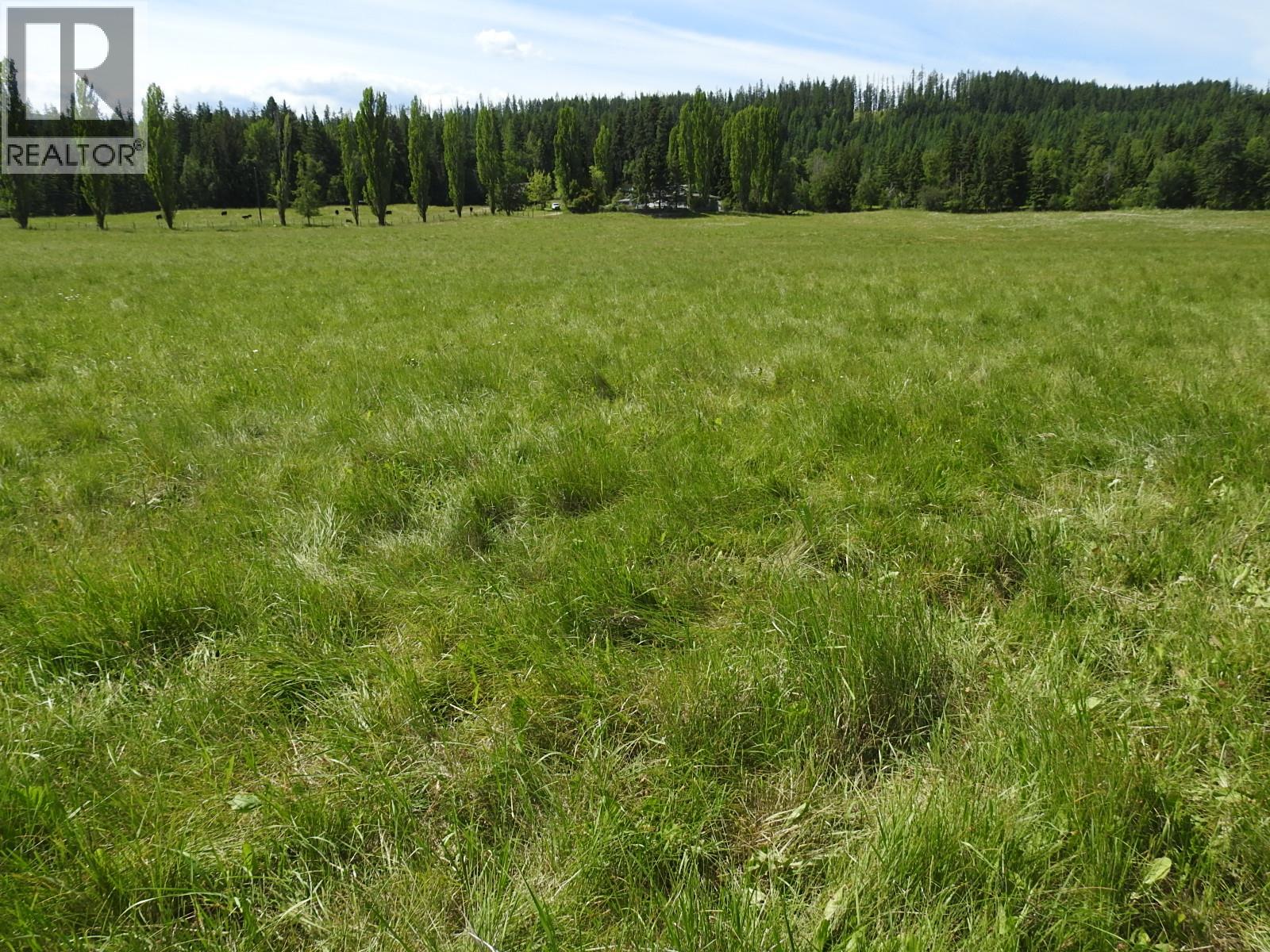 Lot 149 6 Highway, Cherryville, British Columbia  V0E 2G3 - Photo 14 - 10392768