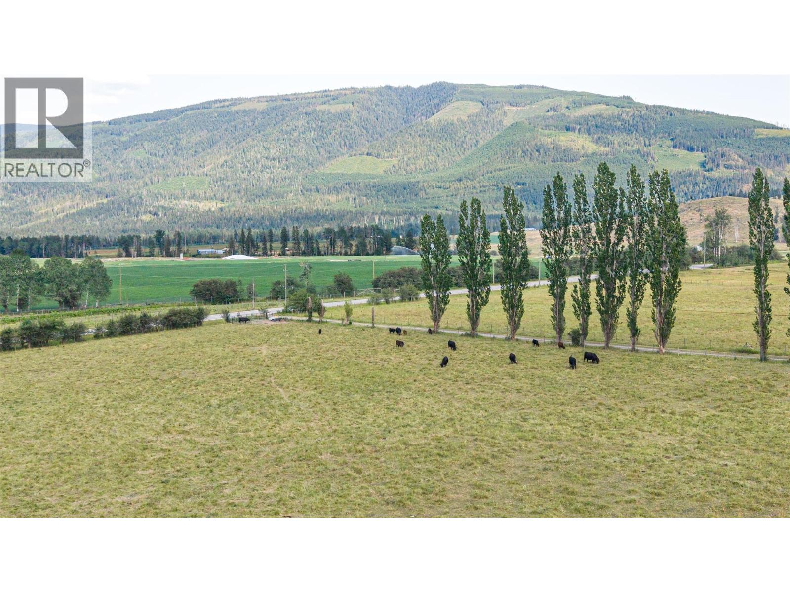 Lot 149 6 Highway, Cherryville, British Columbia  V0E 2G3 - Photo 37 - 10392768