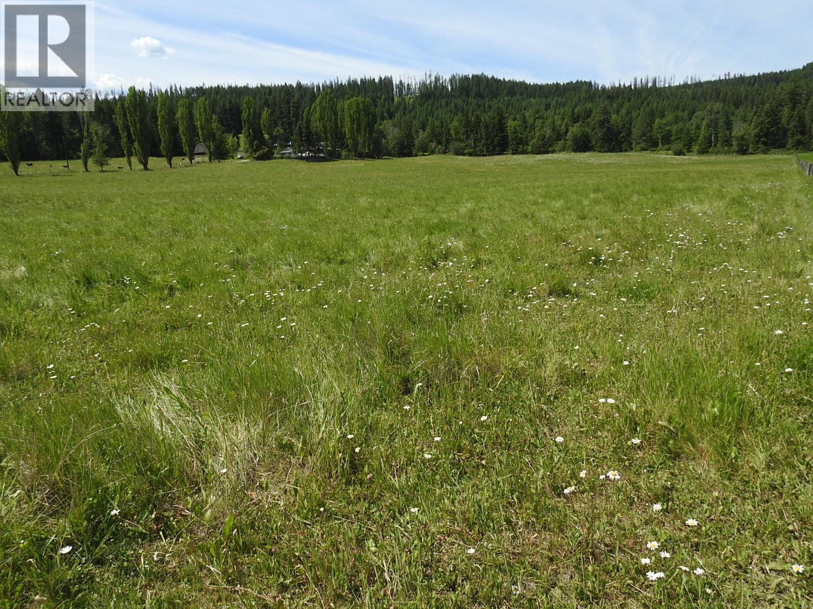 Lot 149 6 Highway, Cherryville, British Columbia  V0E 2G3 - Photo 12 - 10392768