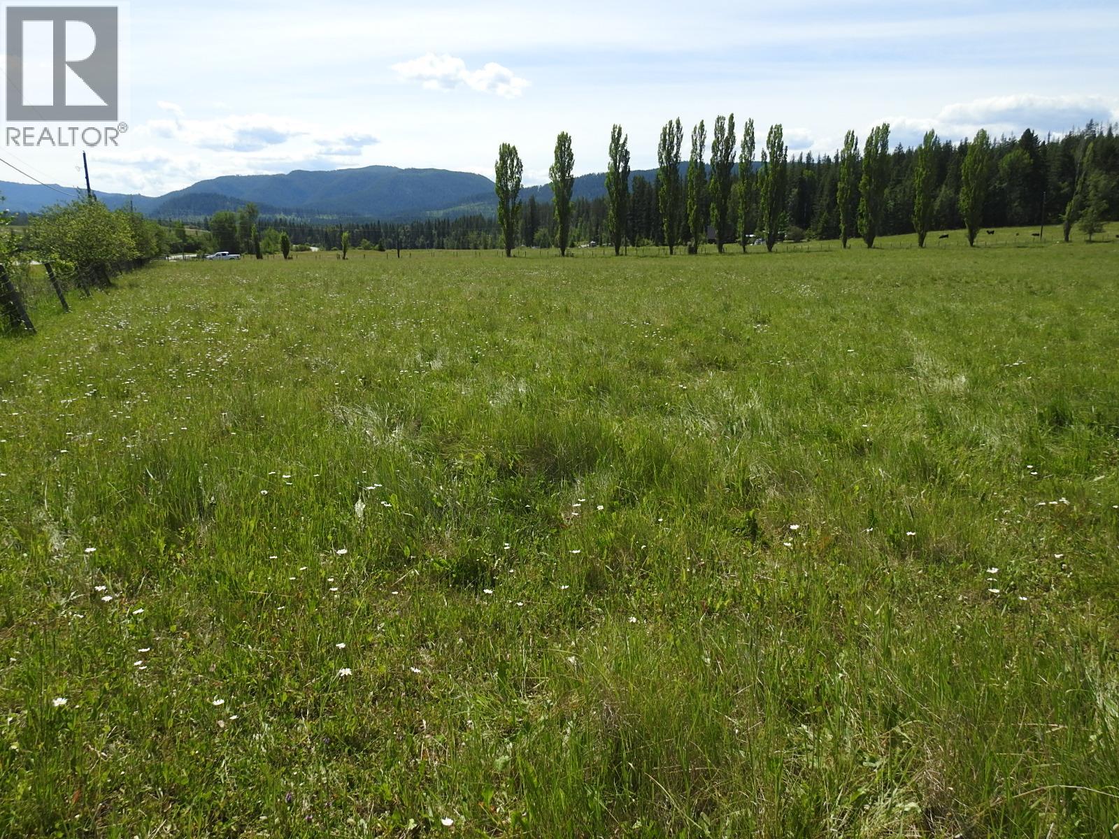 Lot 149 6 Highway, Cherryville, British Columbia  V0E 2G3 - Photo 13 - 10392768