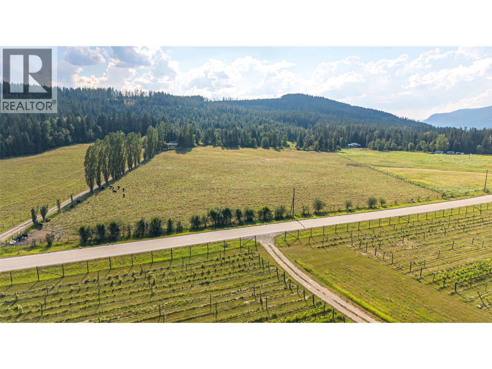 Lot 149 6 Highway, Cherryville, British Columbia  V0E 2G3 - Photo 40 - 10392768