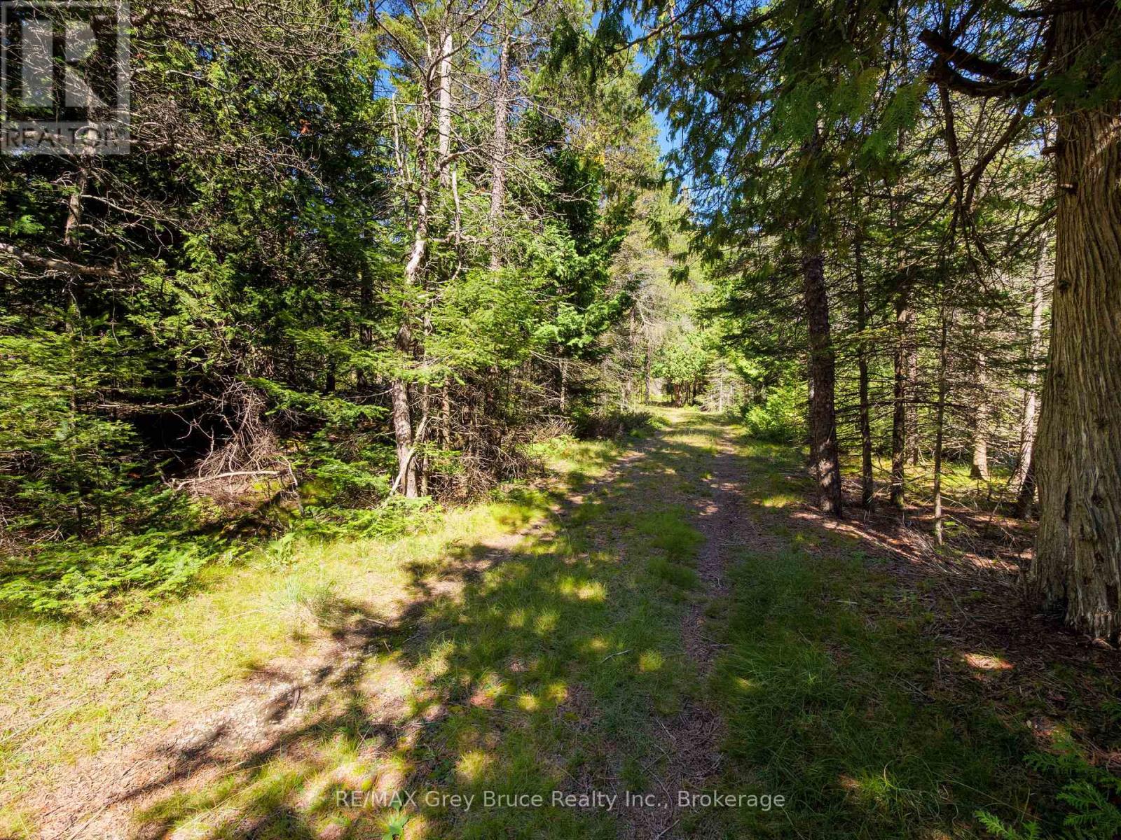 Lt 191 Pl 433 Dorcas Bay Road, Northern Bruce Peninsula, Ontario  N0H 2R0 - Photo 27 - X13724460
