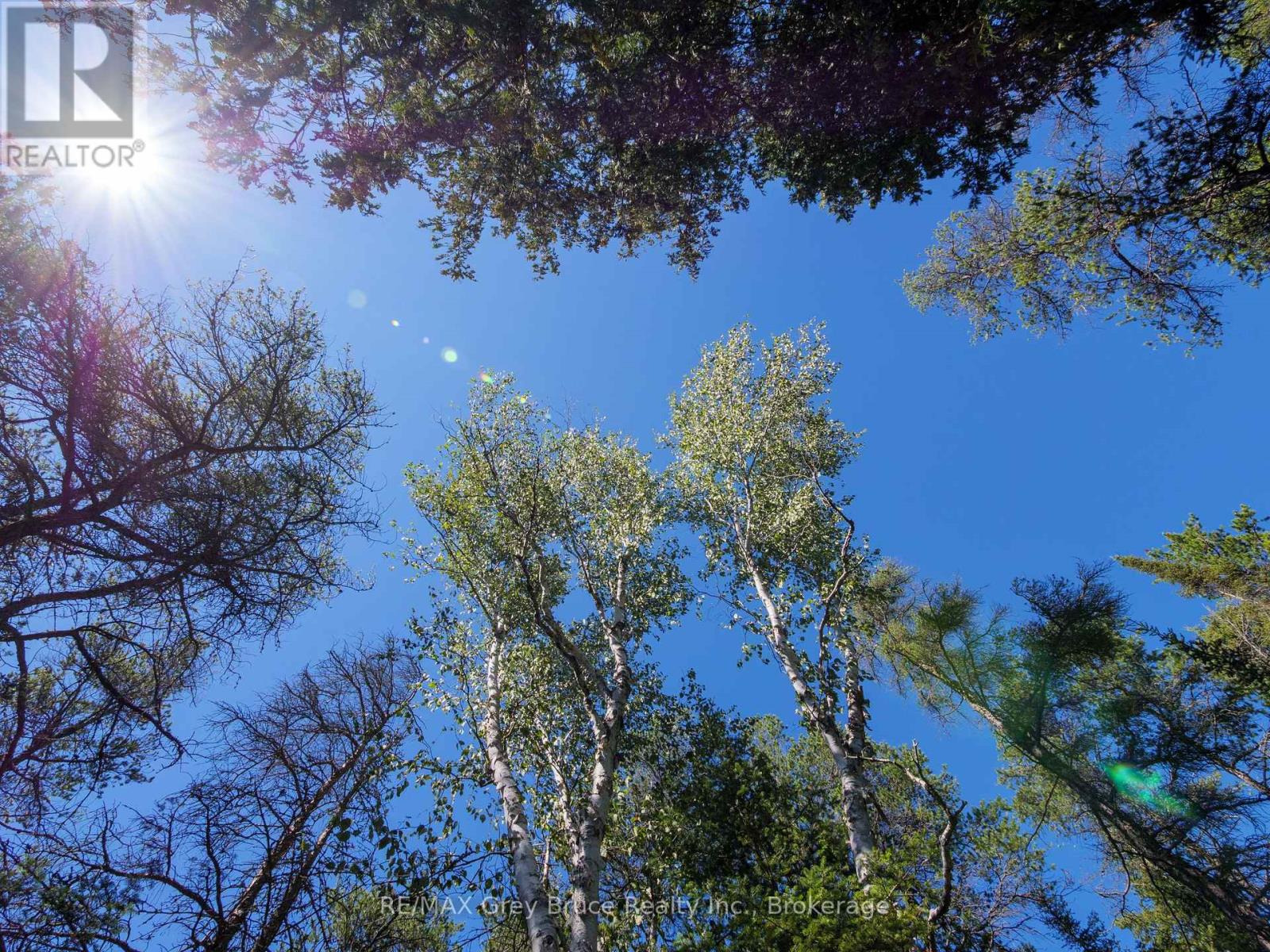 Lt 191 Pl 433 Dorcas Bay Road, Northern Bruce Peninsula, Ontario  N0H 2R0 - Photo 28 - X13724460