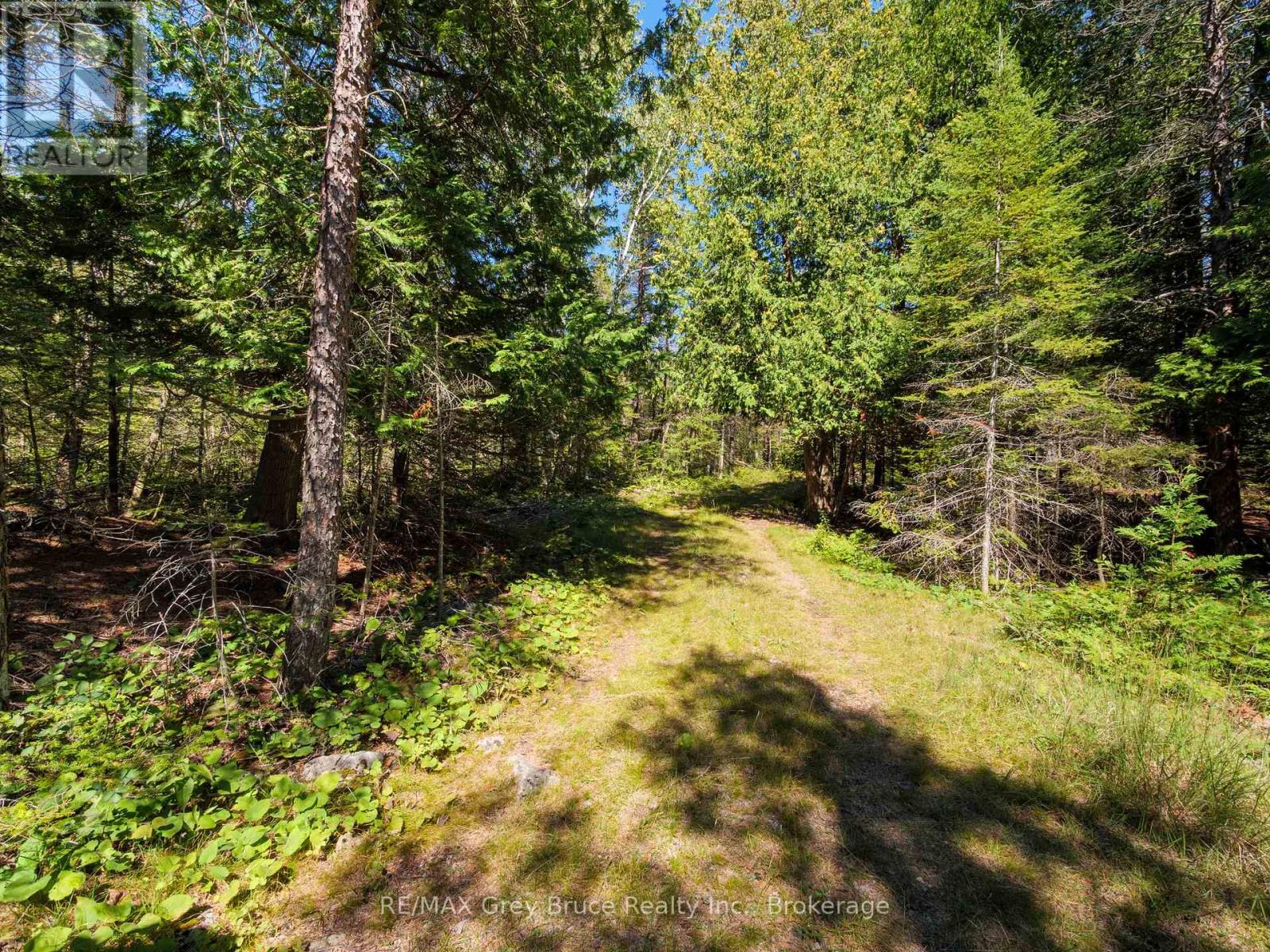Lt 191 Pl 433 Dorcas Bay Road, Northern Bruce Peninsula, Ontario  N0H 2R0 - Photo 7 - X13724460