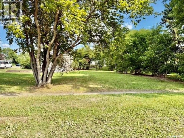 502 Bangor Avenue, Viscount, Saskatchewan  S0K 4M0 - Photo 59 - SK046978