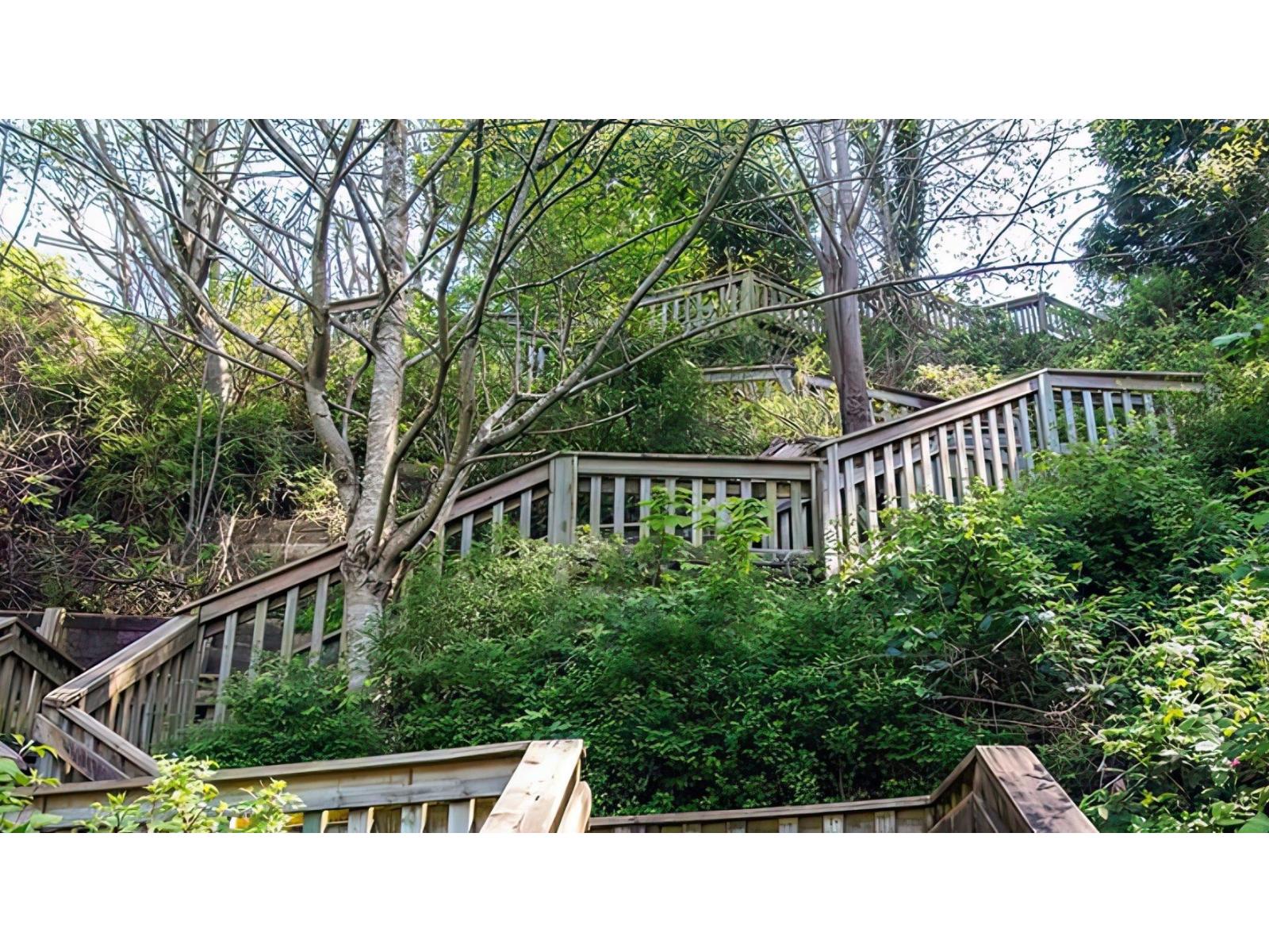 1446 128a Street, Surrey, British Columbia  V4A 3X4 - Photo 28 - R3158432
