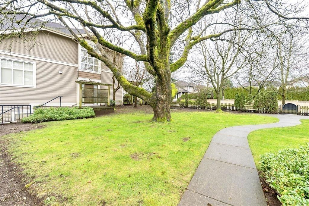 5 6588 188 Street, Surrey, British Columbia  V3S 1Z6 - Photo 22 - R3159083