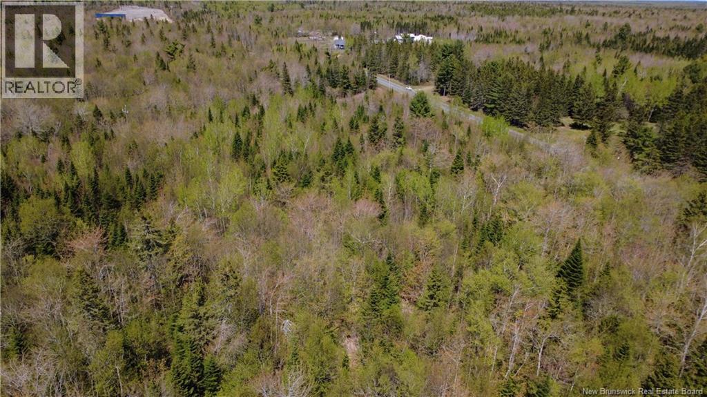 5,036 Mc Chemin St-Raymond, Sainte-Rose, New Brunswick  E1X 1G5 - Photo 4 - NB140229
