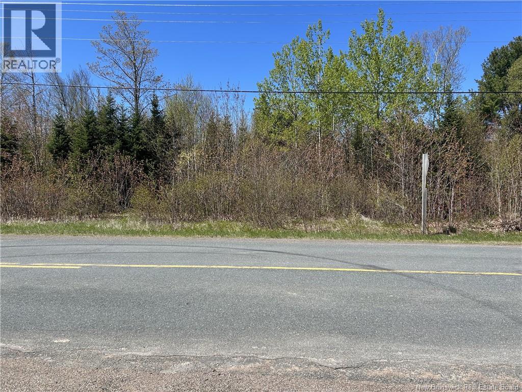 5,036 Mc Chemin St-Raymond, Sainte-Rose, New Brunswick  E1X 1G5 - Photo 9 - NB140229