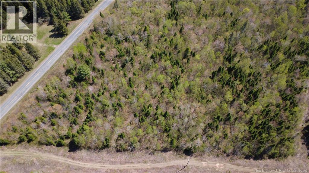 5,036 Mc Chemin St-Raymond, Sainte-Rose, New Brunswick  E1X 1G5 - Photo 8 - NB140229
