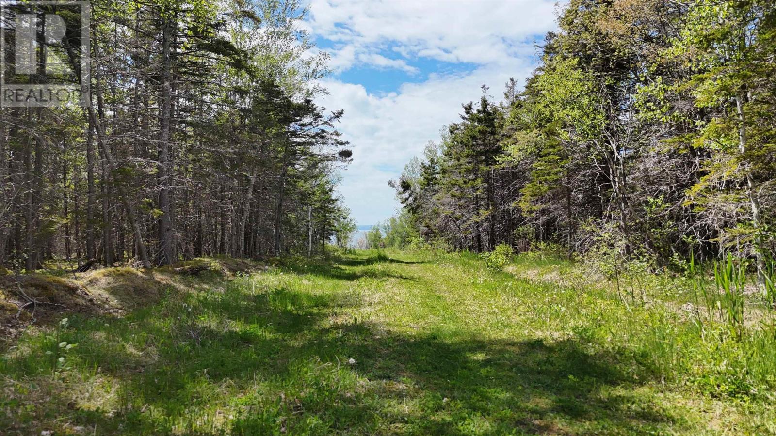 7.5 Acre Highway 4, Red Islands, Nova Scotia  B0E 3B0 - Photo 3 - 202614013