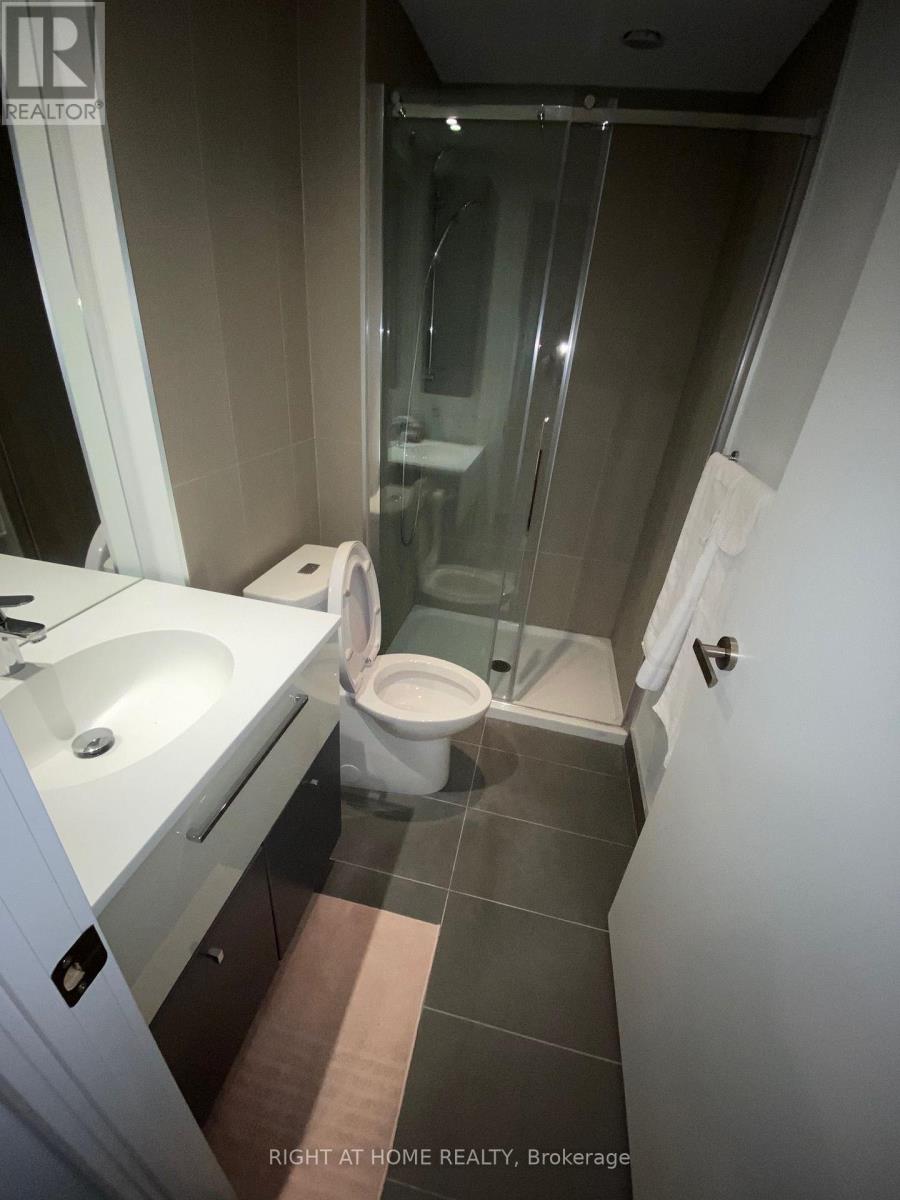 2004 - 15 Grenville Street, Toronto, Ontario  M4Y 1A1 - Photo 6 - C13724600