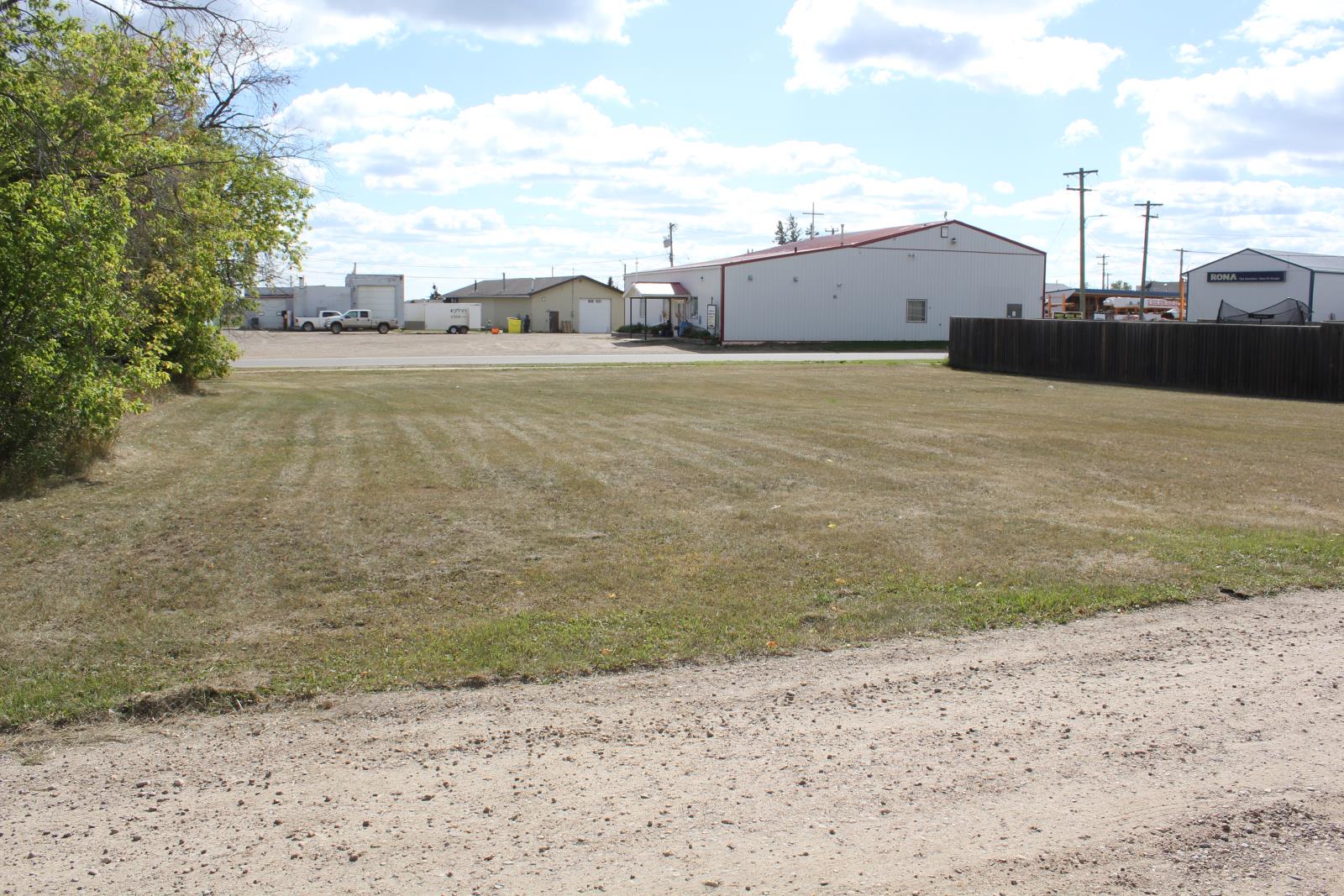 4822 49 Avenue, Elk Point, Alberta  T0A 1A0 - Photo 2 - 43688716