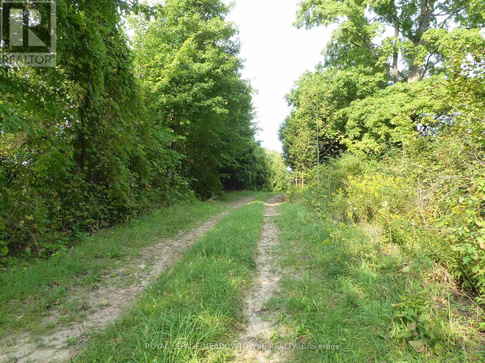 11080 First Line Nassagaweya, Milton, Ontario  L0P 1J0 - Photo 4 - W13724674