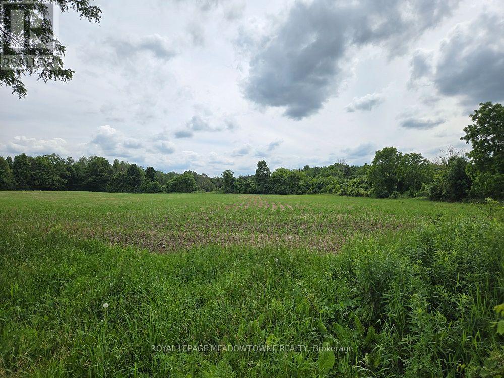 11080 First Line Nassagaweya, Milton, Ontario  L0P 1J0 - Photo 8 - W13724674