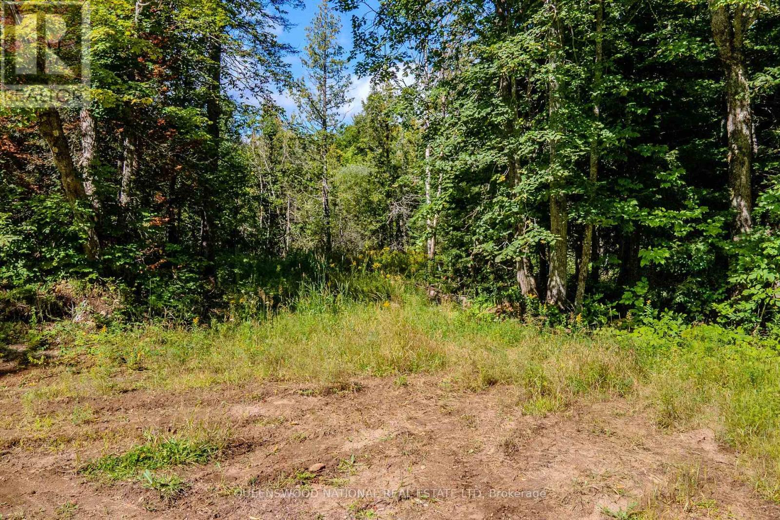 0 Nordic Lane, Brudenell, Ontario K0J 2A0 - Photo 2 - X13724784