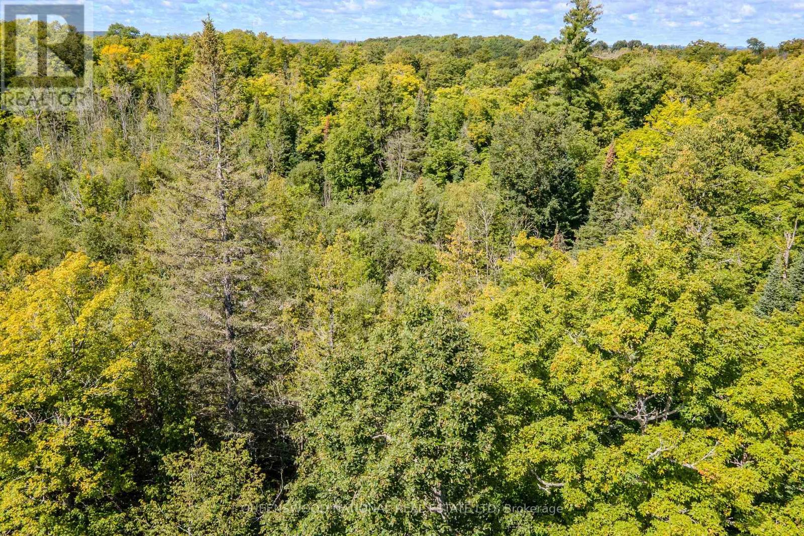 0 Nordic Lane, Brudenell, Ontario K0J 2A0 - Photo 3 - X13724784