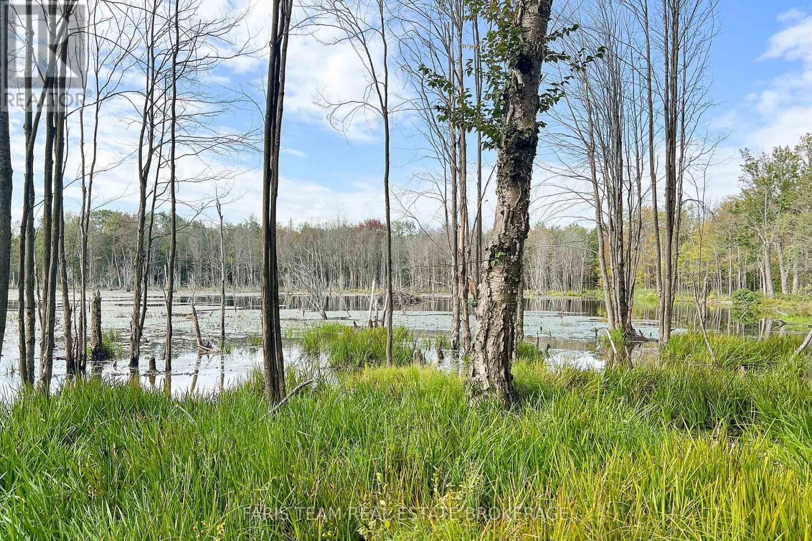 2444 Fairgrounds Road, Ramara, Ontario  L0K 2B0 - Photo 19 - S13724808