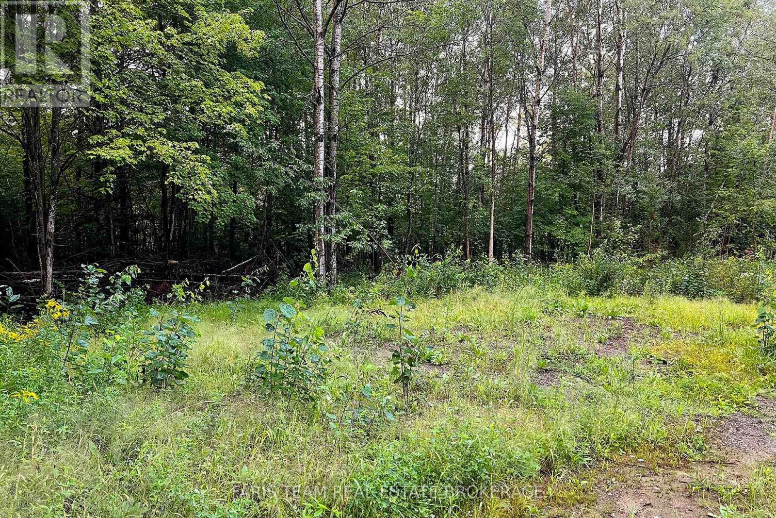 2444 Fairgrounds Road, Ramara, Ontario  L0K 2B0 - Photo 20 - S13724808