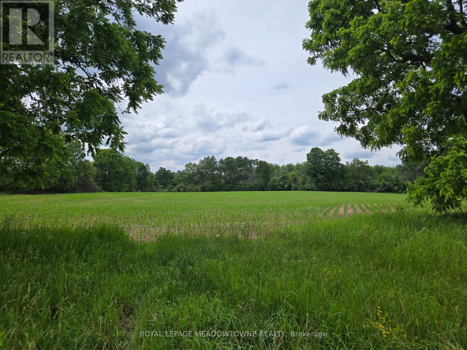 11080 First Line Nassagaweya, Milton, Ontario  L0P 1J0 - Photo 13 - W13724806