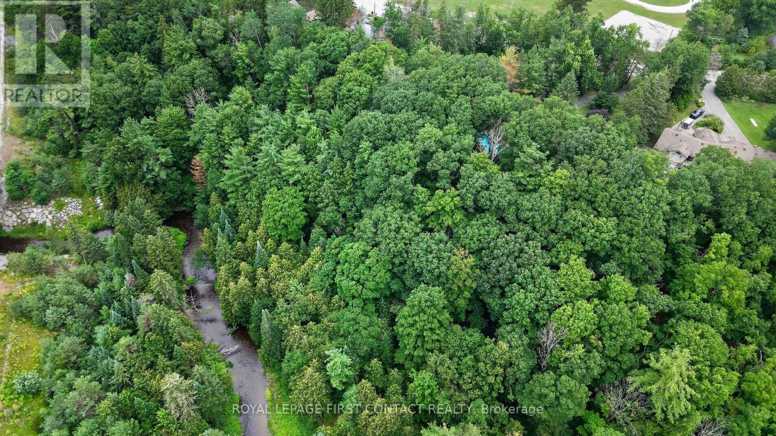 29 Doran Road, Springwater, Ontario  L9X 1L3 - Photo 43 - S13725026