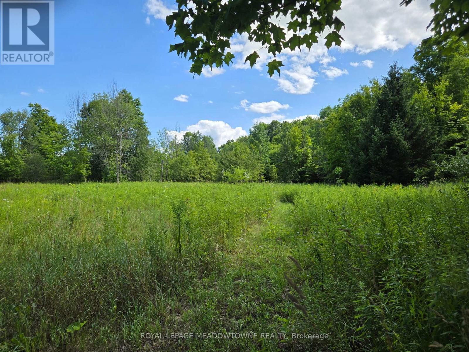 9414 FIRST LINE NASSAGAWEYA, Milton, Ontario