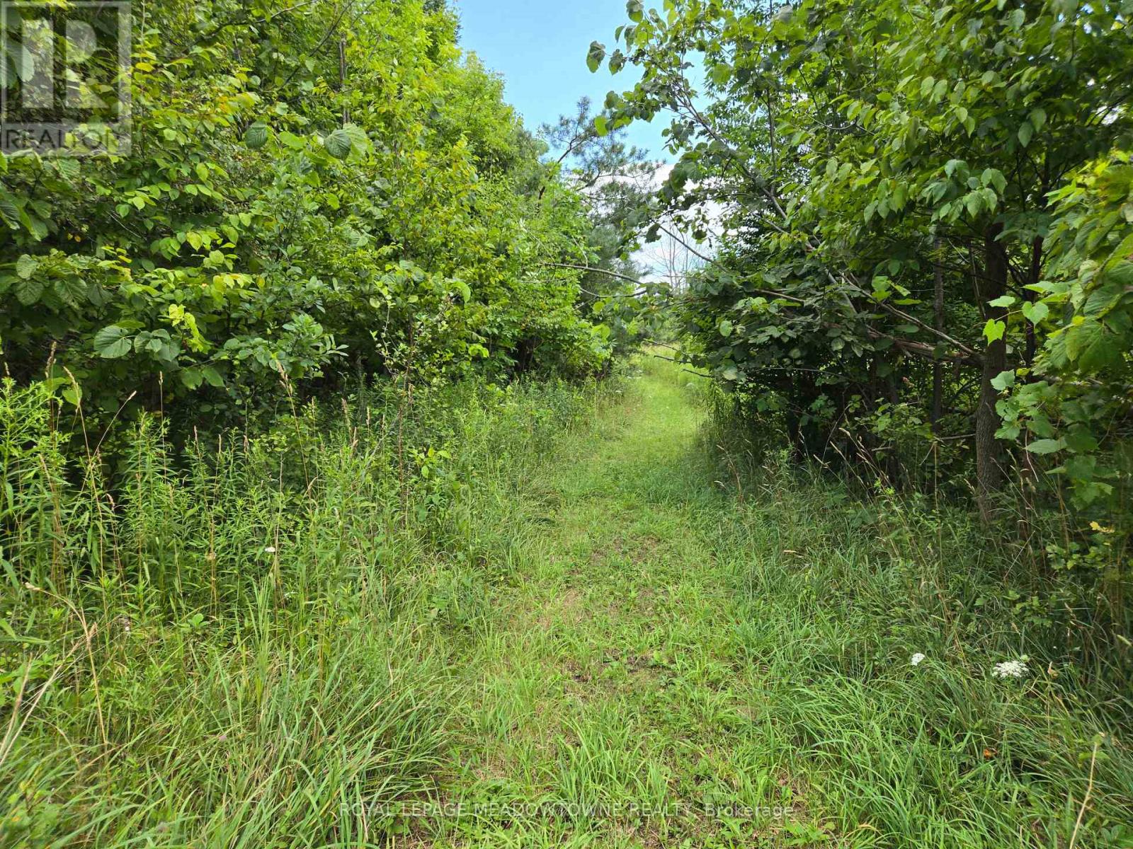 9414 First Line Nassagaweya, Milton, Ontario  L0P 1J0 - Photo 11 - W13725022