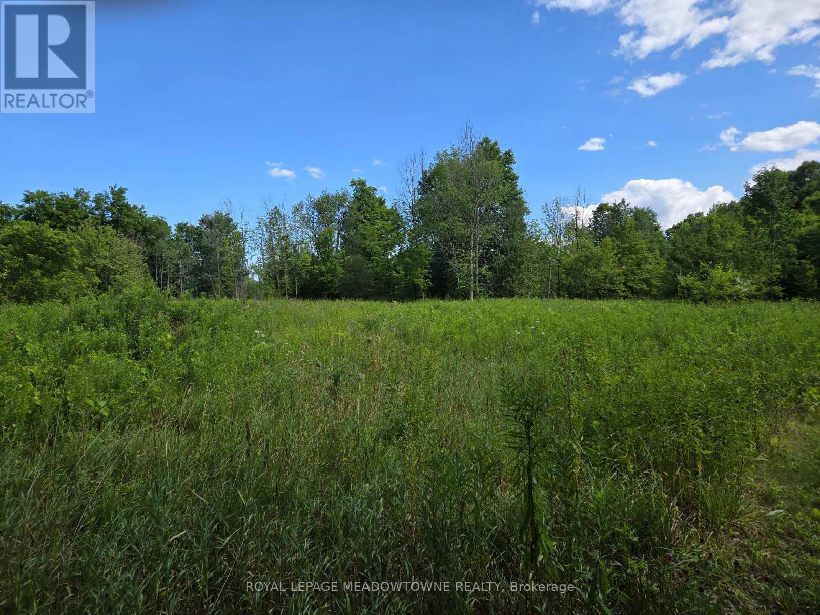 9414 First Line Nassagaweya, Milton, Ontario  L0P 1J0 - Photo 15 - W13725022