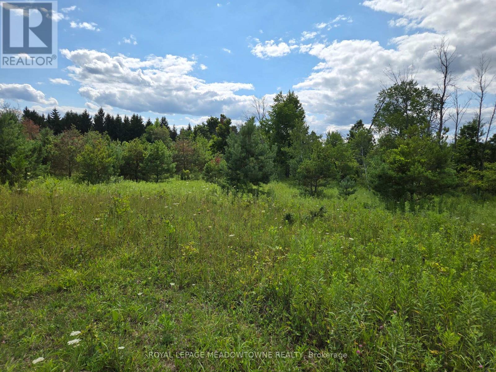 9414 First Line Nassagaweya, Milton, Ontario  L0P 1J0 - Photo 6 - W13725022