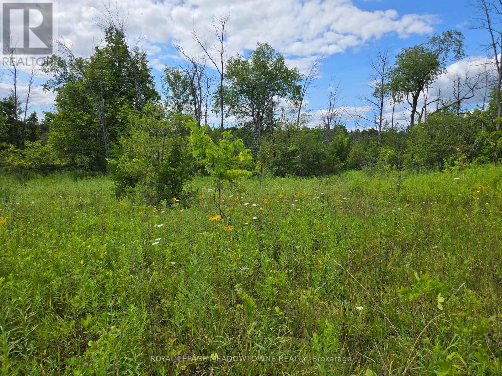 9414 First Line Nassagaweya, Milton, Ontario  L0P 1J0 - Photo 7 - W13725022