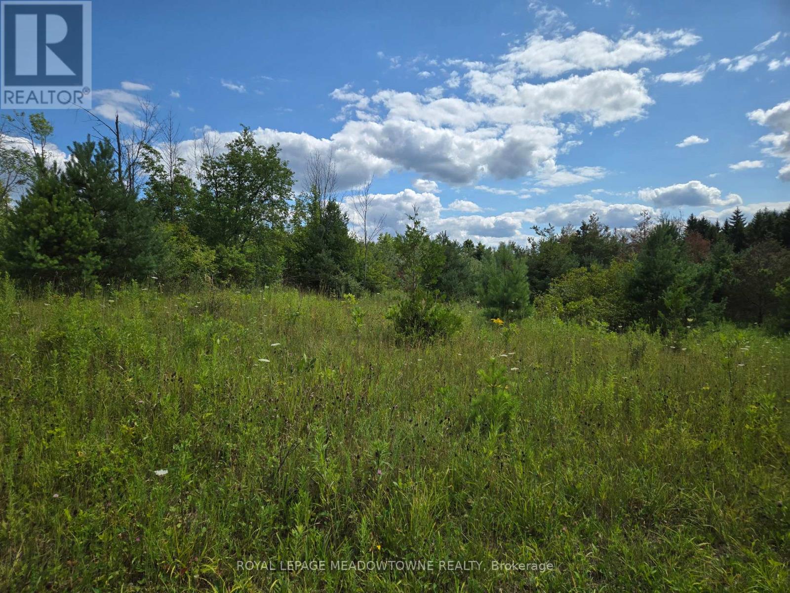 9414 First Line Nassagaweya, Milton, Ontario  L0P 1J0 - Photo 8 - W13725022