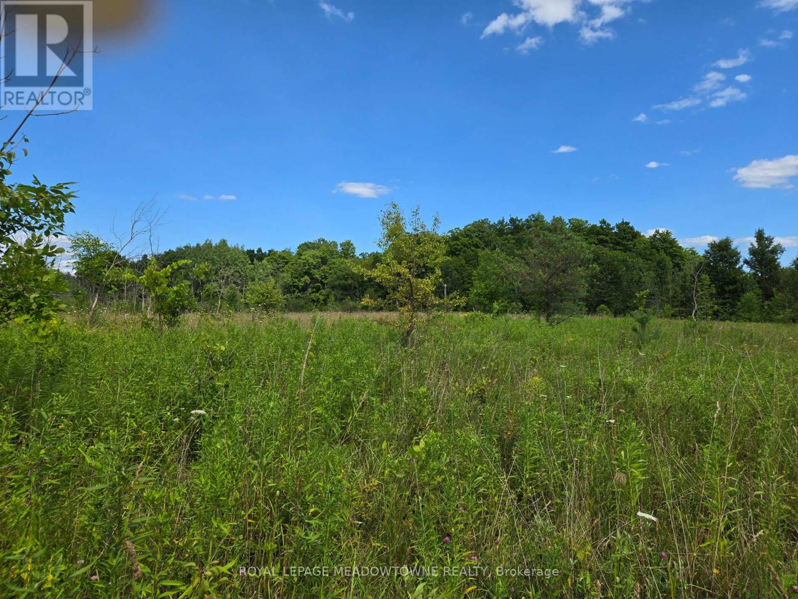 9414 First Line Nassagaweya, Milton, Ontario  L0P 1J0 - Photo 9 - W13725022