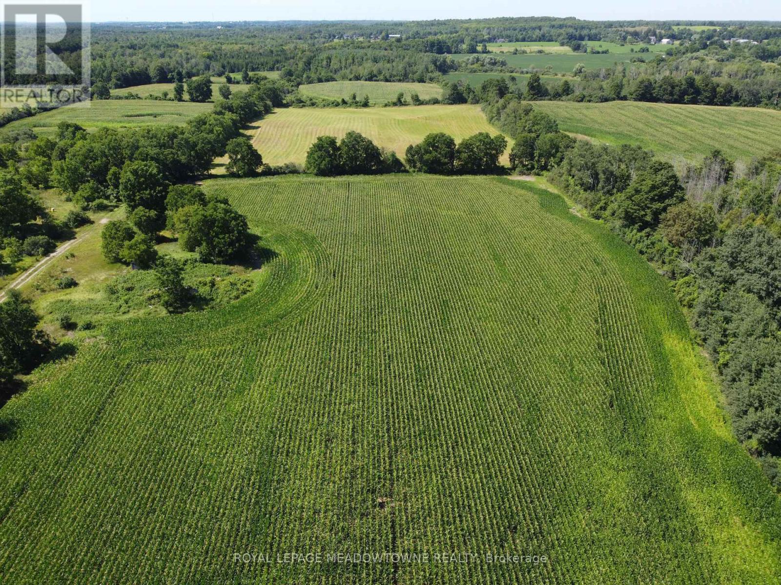11080 First Line Nassagaweya, Milton, Ontario  L0P 1J0 - Photo 6 - W13724806