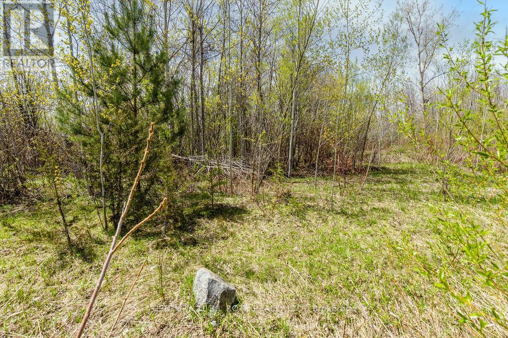15 Quarry Road, Tay (Waubaushene), Ontario L0K 2C0 - Photo 24 - S13725090