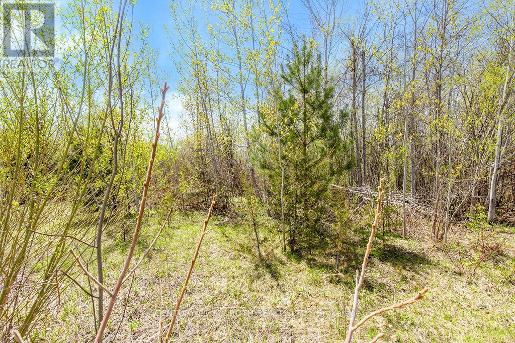 15 Quarry Road, Tay (Waubaushene), Ontario L0K 2C0 - Photo 26 - S13725090